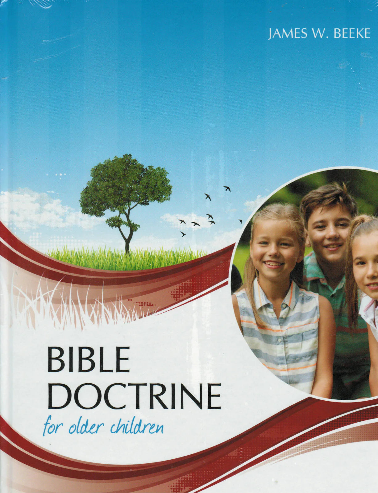 Bible Doctrine for Older Children by James W. Beeke