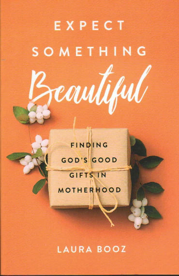 Expect Something Beautiful: Finding God's Good Gifts in Motherhood by Laura Booz