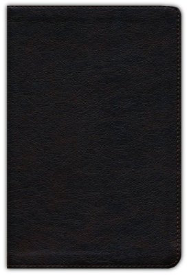 In the Lord I Take Refuge: 150 Daily Devotions Through the Psalms