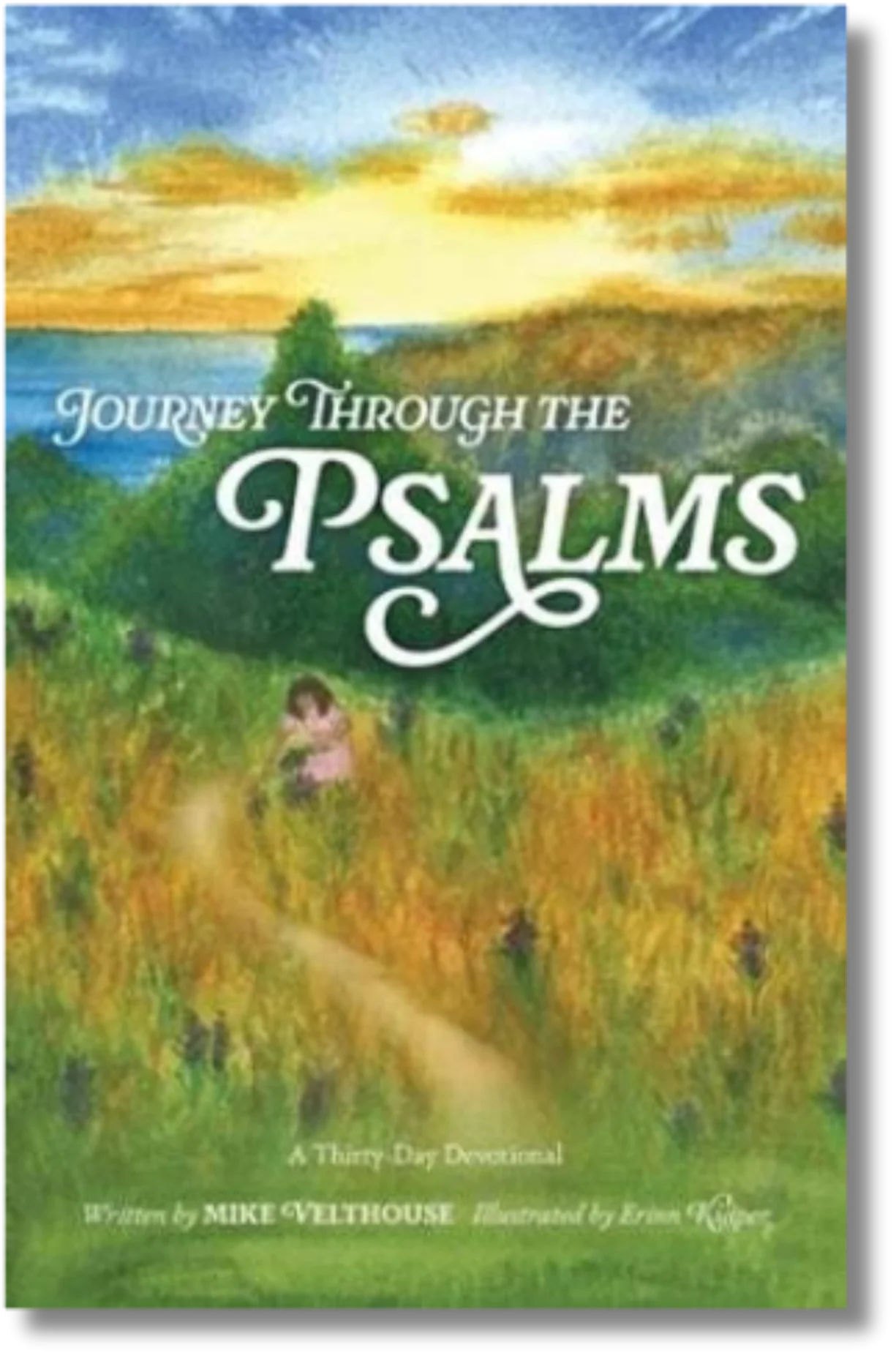 Journey Through the Psalms: A Thirty-Day Devotional by Mike Velthouse