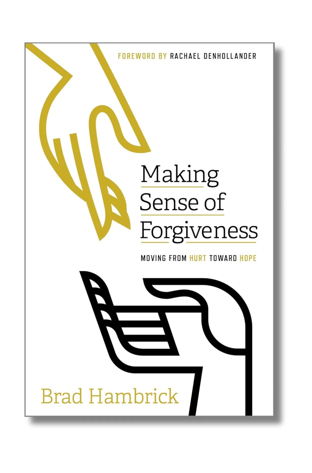 Making Sense of Forgiveness: Moving from Hurt toward Hope by Brad Hambrick