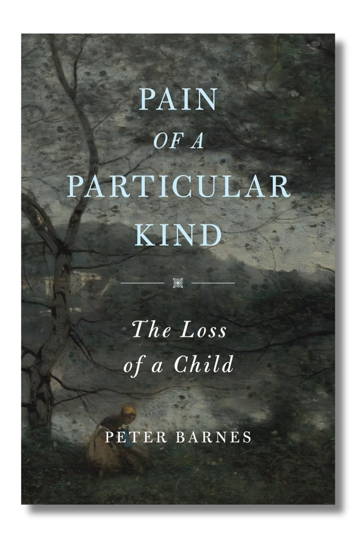 Pain of a Particular Kind: The Loss of a Child by Peter Barnes