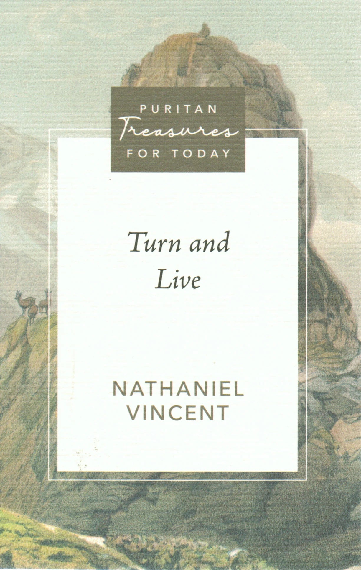 Puritan Treasures for Today - Turn and Live by Nathaniel Vincent