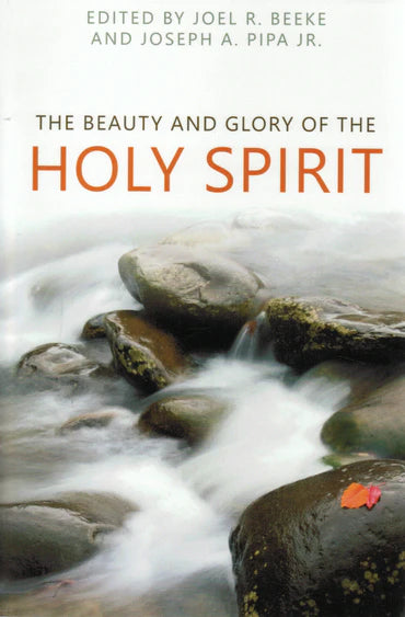The Beauty and Glory of the Holy Spirit
