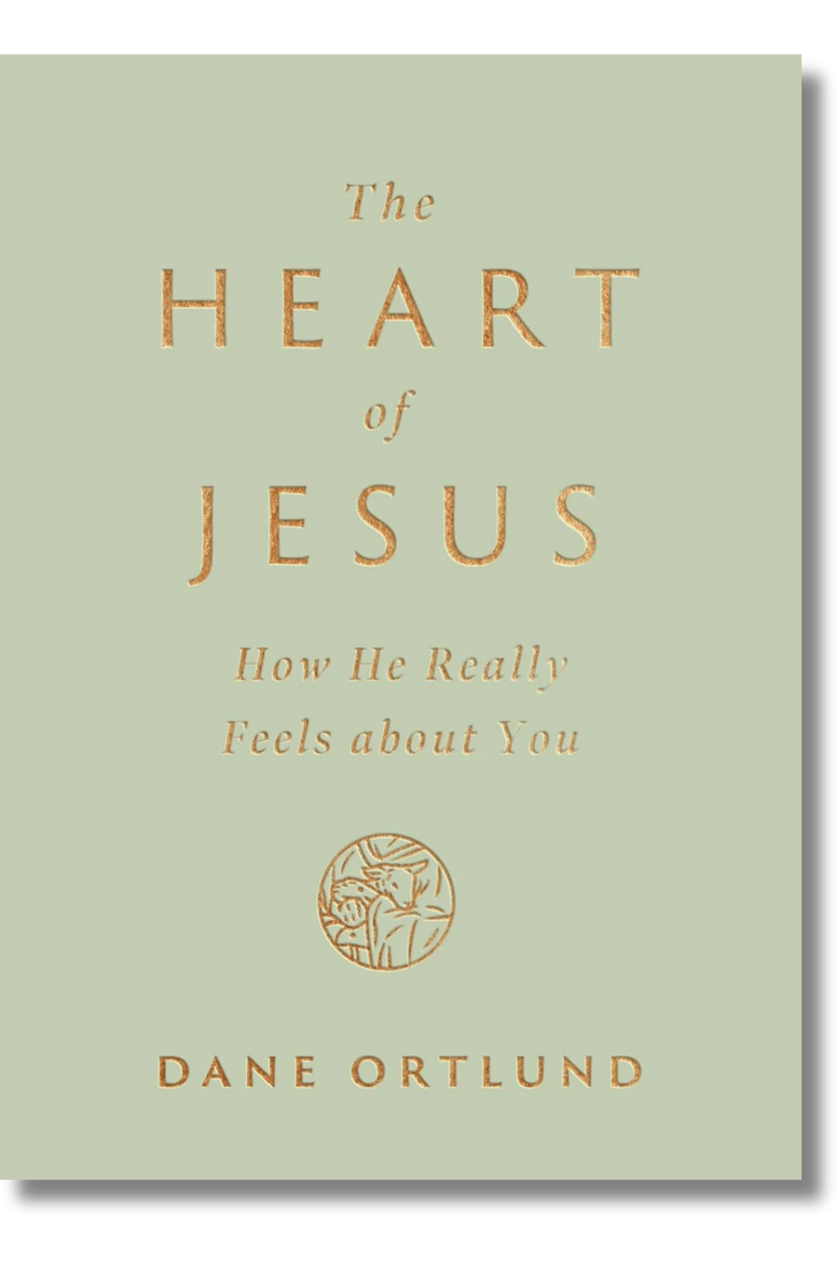 The Heart of Jesus: How He Really Feels about You by Dane Ortlund