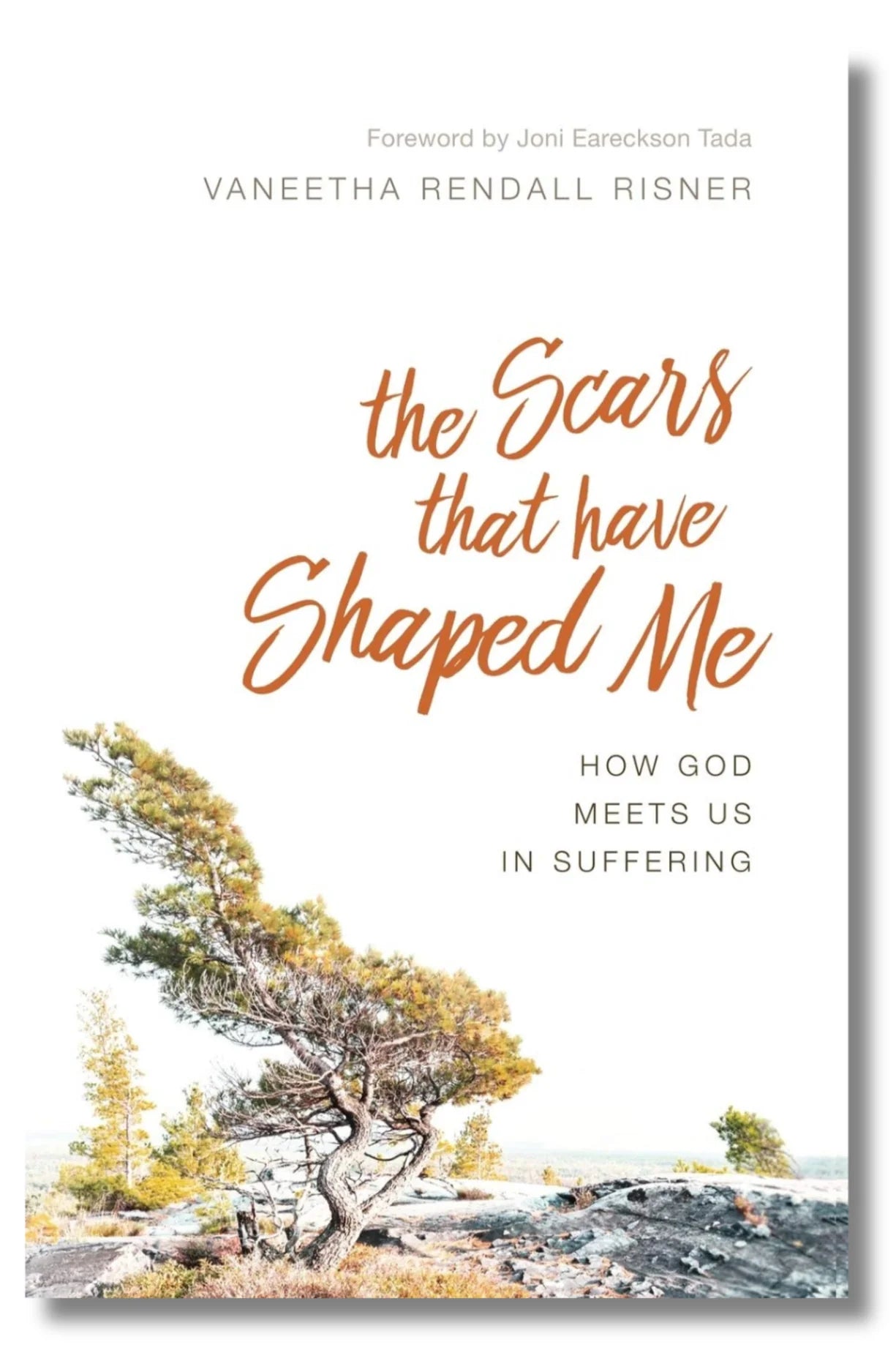 The Scars That Have Shaped Me: How God Meets Us in Suffering by Vaneetha Rendall Risner