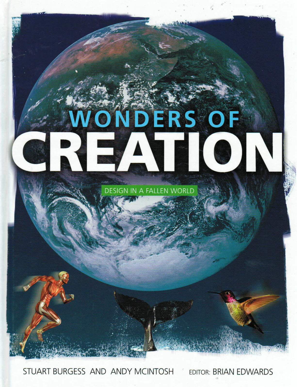 Wonders of Creation: Design in a Fallen World by Stuart Burgess and Andy Mcintosh